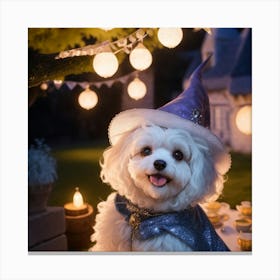 White Dog Dressed As A Witch Canvas Print
