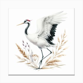 Crane 3 Canvas Print