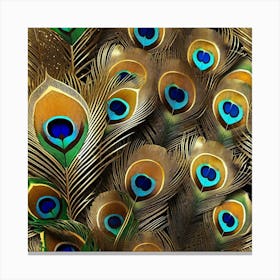 Peacock Feathers Canvas Print