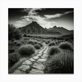 Path In The Desert Canvas Print