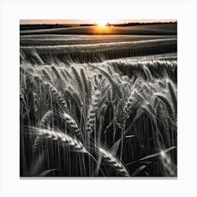 Sunset Wheat Field 7 Canvas Print