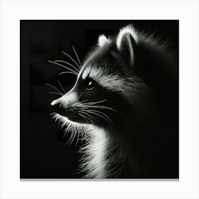 Raccoon Portrait Canvas Print