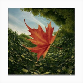 A Stunning High-Resolution Photo of a Vibrant Red Leaf Canvas Print