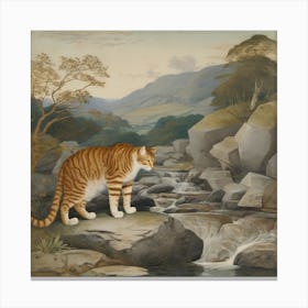 Cat By A Stream Canvas Print