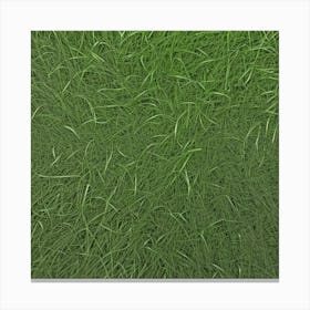 Grass Background Photo 2 Canvas Print