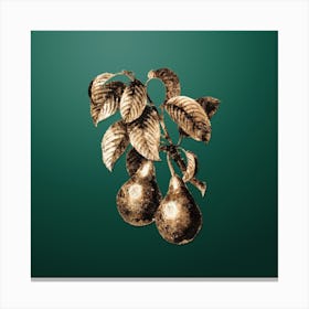 Gold Botanical Pear on Dark Spring Green n.0081 Canvas Print