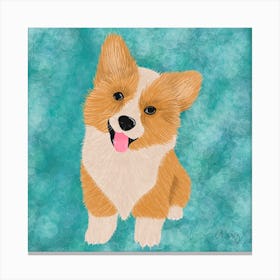 Corgi Puppy. 1 Canvas Print