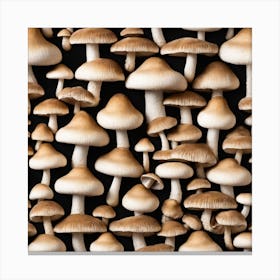 Mushrooms On Black Background Canvas Print