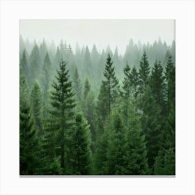 Firefly Misty Pine Forest Background 66790 Leinwandbild