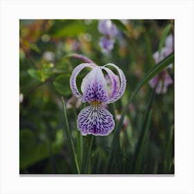 Purple flower Canvas Print