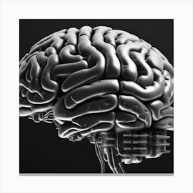 Brain 3d Illustration Canvas Print