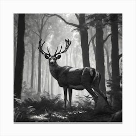 Deer In The Forest 237 Canvas Print