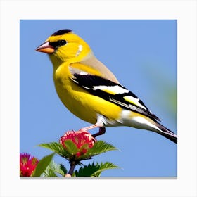 Goldfinch 2 Canvas Print