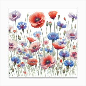 Poppies and Cornflowers 1 Canvas Print