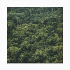 Aerial View Of A Tropical Rainforest Canvas Print