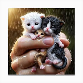 Kittens In The Rain 1 Canvas Print