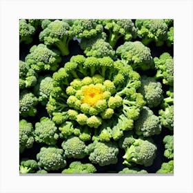Florets Of Broccoli 27 Canvas Print