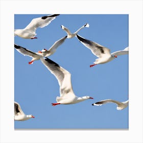 Seagulls In Flight Capture A Flock Of Seagulls Soaring Above The Sea Their Wings Outstretched Agai Canvas Print