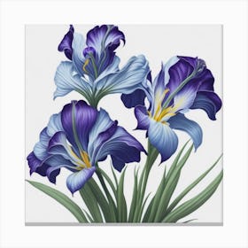 Blue Iris myluckycharm Canvas Print