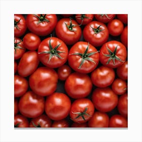 Ripe Tomatoes 4 Canvas Print