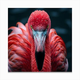 Flamingo 11 Canvas Print