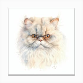 Colorpoint Persian Cat Portrait Canvas Print