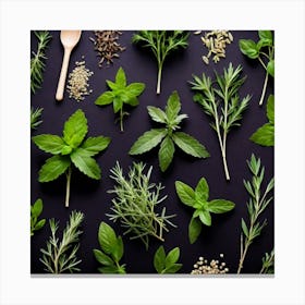 Top View Of Herbs On Black Background 3 Canvas Print