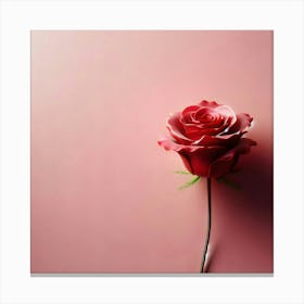 Single Rose On Pink Background Canvas Print