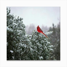 Firefly Beautiful, Winter, Day, Cardinal, Bird, Snowing, Snowy, Serene, Peaceful, Nature, Vibrant, R (3) Canvas Print