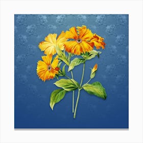 Vintage Lychnis Grandiflora Botanical on Bahama Blue Pattern n.2145 Canvas Print