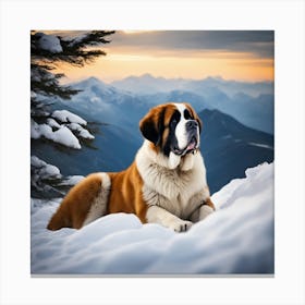 St Bernard Dog 1 Canvas Print