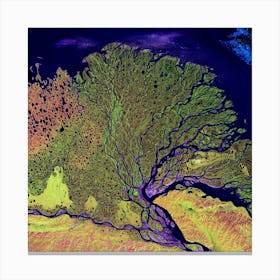 Satellite Image Of The Arctic Canvas Print