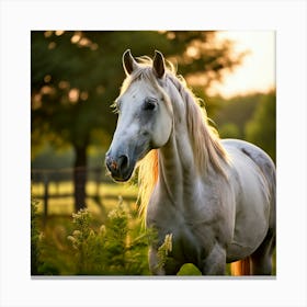 Grass Mane Head Graze Equestrian Pasture Elegant Sun Beauty Horse Standing Rural Green (1) Toile