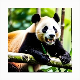 Panda Bear 9 Canvas Print