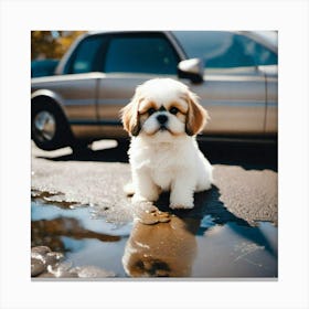 Cute white dog  Canvas Print