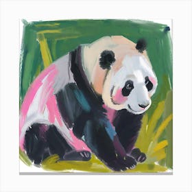 Giant Panda 04 Canvas Print