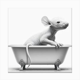 Rat In A Bathtub Canvas Print