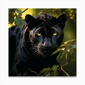 Black Panther in the Amazon Canvas Print
