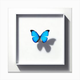 Blue Butterfly In A White Frame Canvas Print