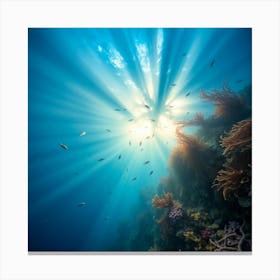 Great Barrier reef 18 Canvas Print