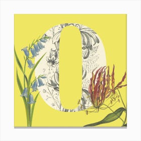 Botanical O Canvas Print