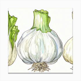 Three Types Of Garlic Canvas Print