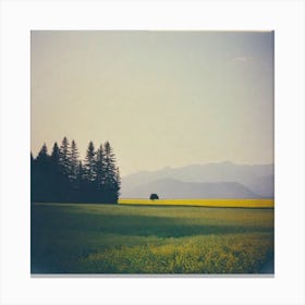 Field Of Yellow Canvas Print