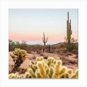Desert Sunset Square Canvas Print