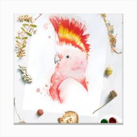 Pink parrot Canvas Print