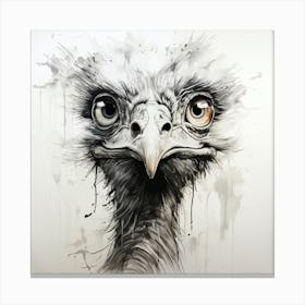 Ostrich Canvas Print