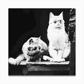 Cats Wearing Sunglasses, Vintage Black and White Old Photo Canvas Print