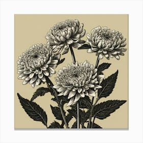 Chrysanthemums 3 Canvas Print