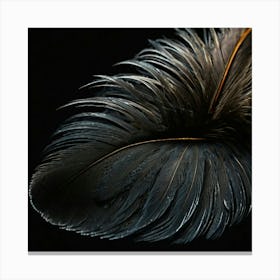 Close Up Of A Feather On A Black Background Canvas Print