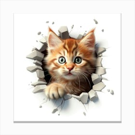 Cat Through A Hole 1 Canvas Print